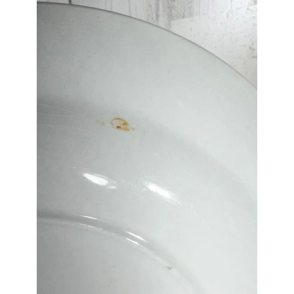 Adams Dinner Plates 10